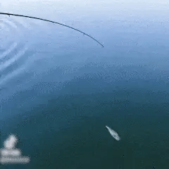 Hot Sale- Soft Bionic Fishing Lure