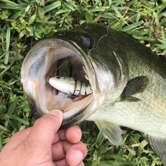 🔥Lifelike Swimbait ( 1 series 5pcs )🔥